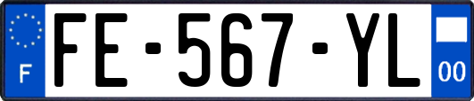 FE-567-YL
