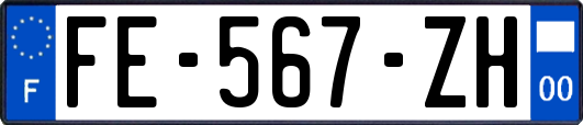 FE-567-ZH