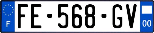 FE-568-GV