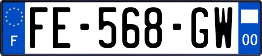 FE-568-GW