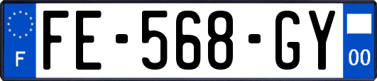 FE-568-GY