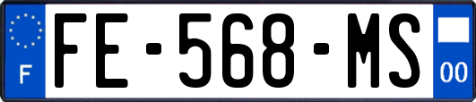 FE-568-MS