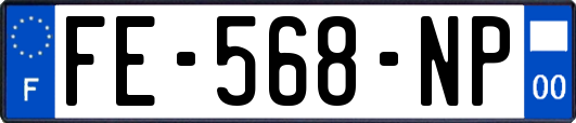 FE-568-NP