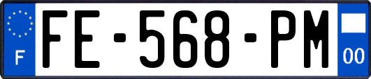 FE-568-PM