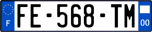 FE-568-TM