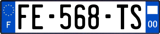 FE-568-TS