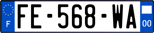 FE-568-WA