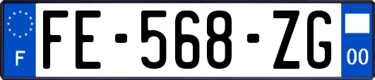 FE-568-ZG