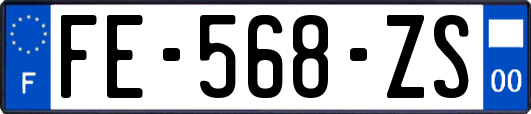 FE-568-ZS