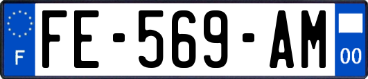 FE-569-AM