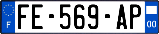 FE-569-AP