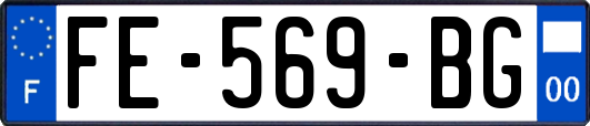 FE-569-BG