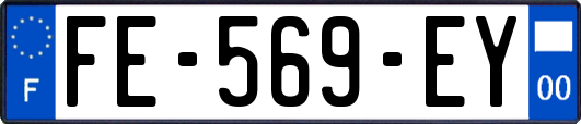 FE-569-EY