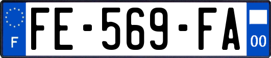 FE-569-FA