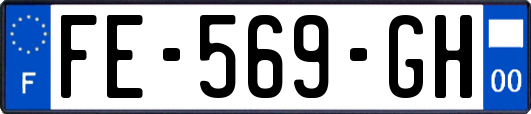 FE-569-GH