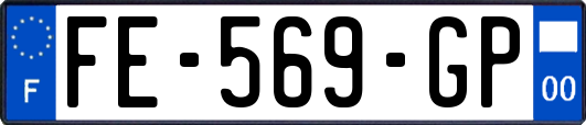 FE-569-GP
