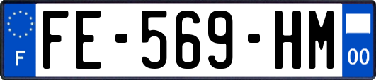 FE-569-HM