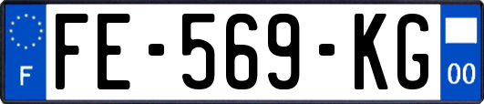 FE-569-KG