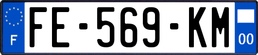 FE-569-KM