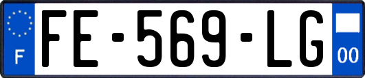FE-569-LG