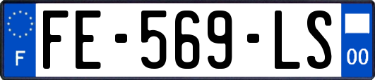 FE-569-LS