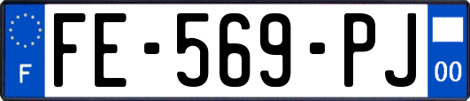 FE-569-PJ