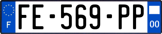FE-569-PP