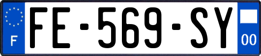 FE-569-SY