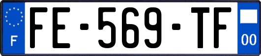 FE-569-TF