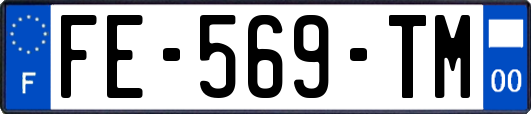 FE-569-TM