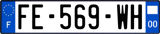 FE-569-WH