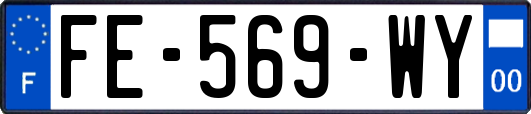 FE-569-WY