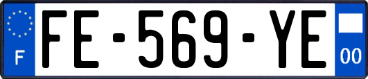 FE-569-YE