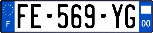 FE-569-YG
