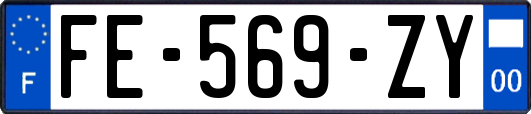 FE-569-ZY