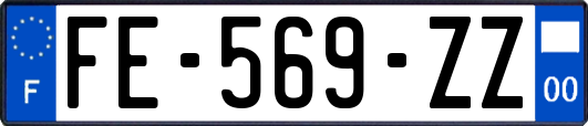 FE-569-ZZ