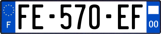 FE-570-EF