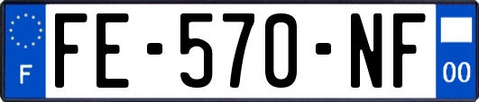 FE-570-NF