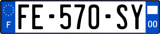 FE-570-SY