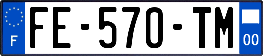 FE-570-TM