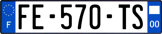 FE-570-TS