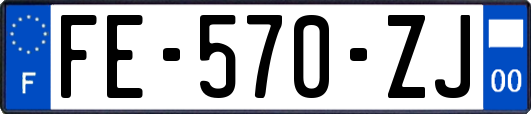 FE-570-ZJ