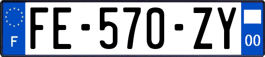 FE-570-ZY