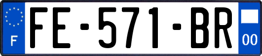 FE-571-BR