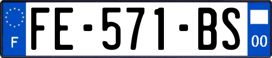 FE-571-BS