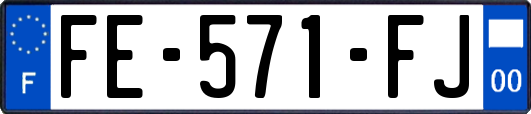 FE-571-FJ