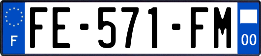 FE-571-FM