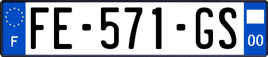 FE-571-GS