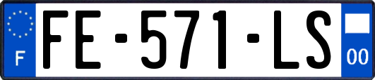 FE-571-LS