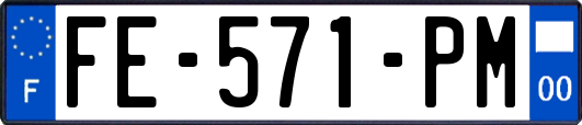 FE-571-PM
